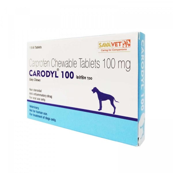 리마딜 카프로펜 CARODYL 100mg 36정